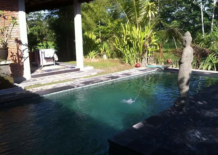 Swallow 2* Ubud (Bali)