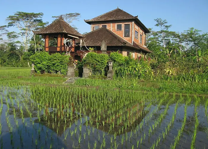 Swallow Guest house
