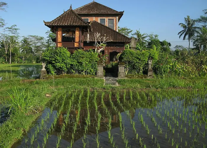 Swallow Guest house Ubud (Bali)