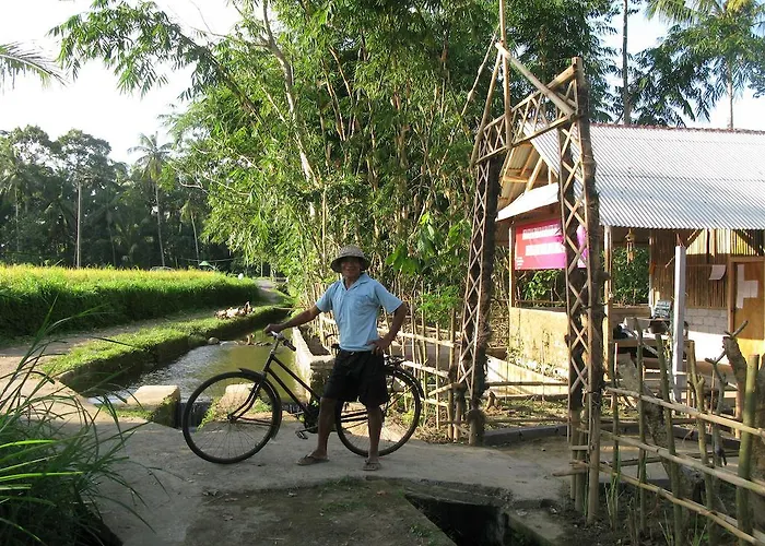 Swallow 2* Ubud (Bali)