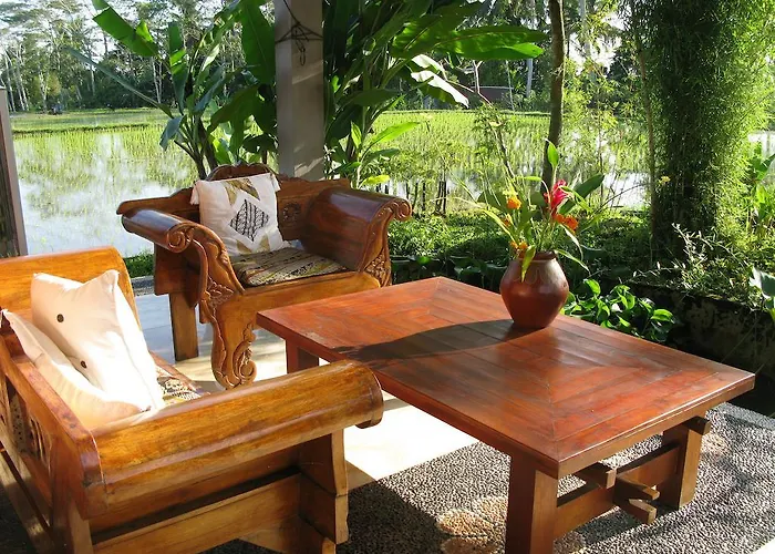 Swallow Guest house
