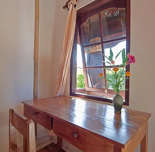 Swallow
