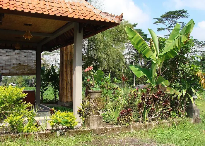 Swallow Guest house 2*